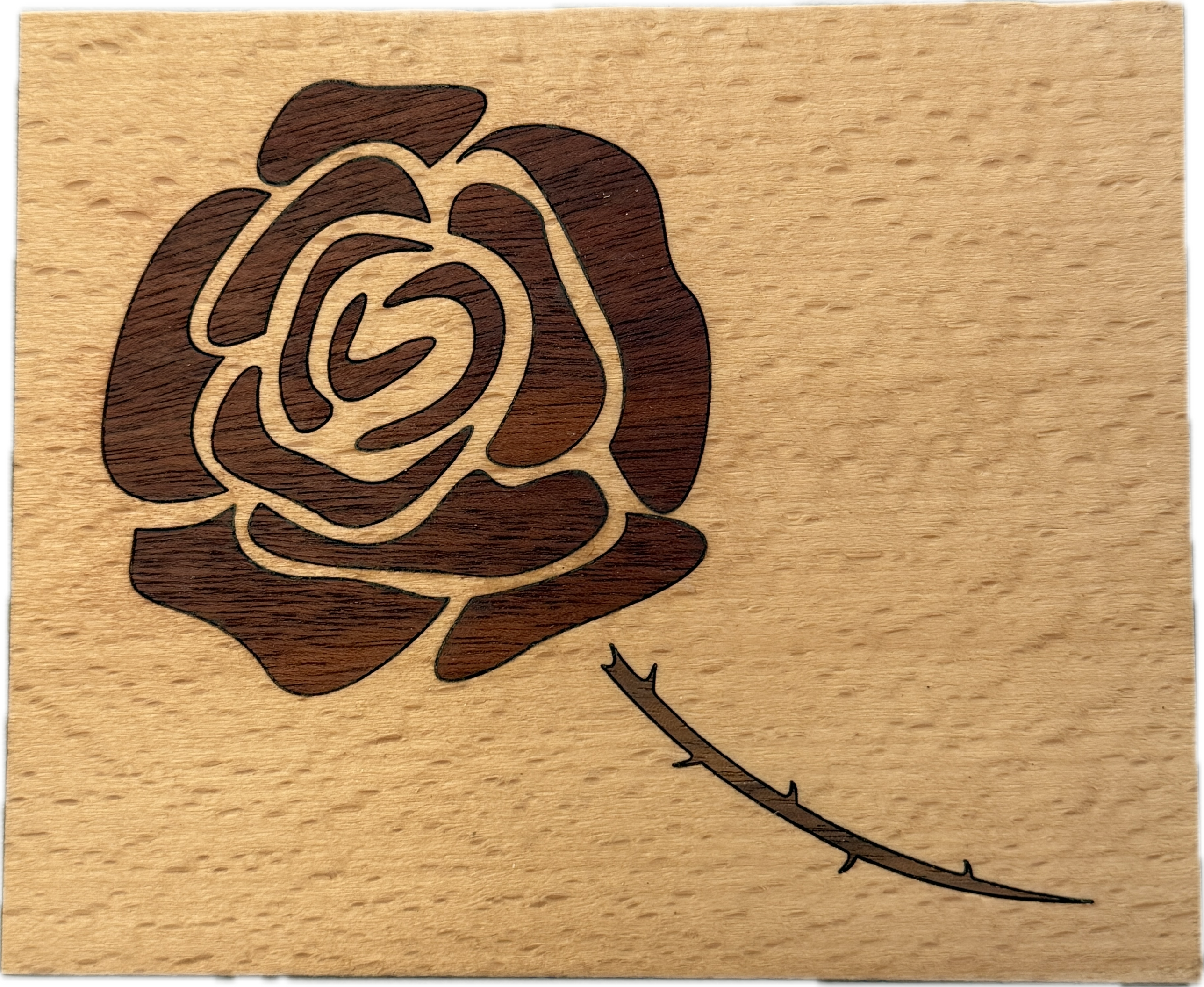 Exotic Veneer Rose
